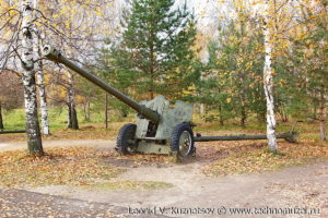 Пушка Д-44 в Парке Победы в Костроме
