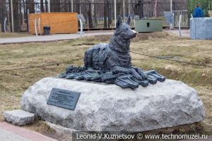 Памятник фронтовой собаке в Музее на Поклонной горе